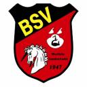 Zweite SG empfängt den BSV Leeden/Ledde